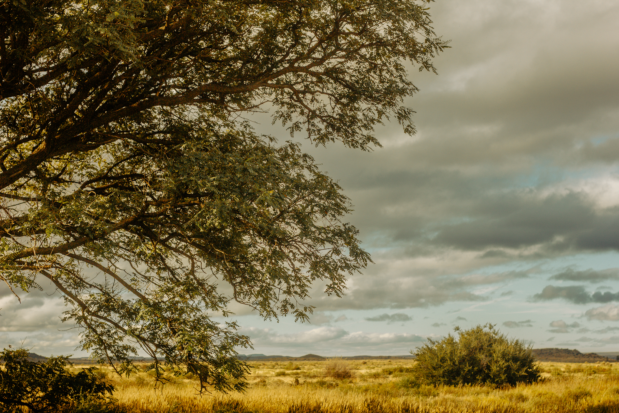 Karoo se Kind